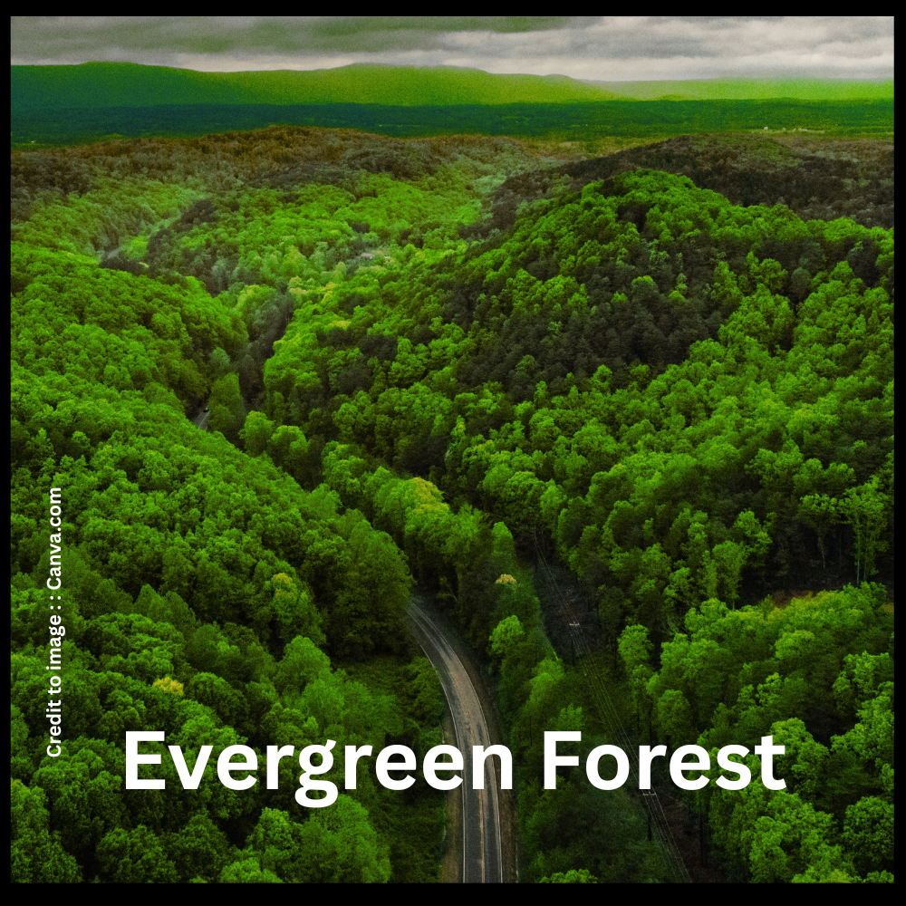 Evergreen Forest- Prakriti Darshan Nature and Environment Magazine