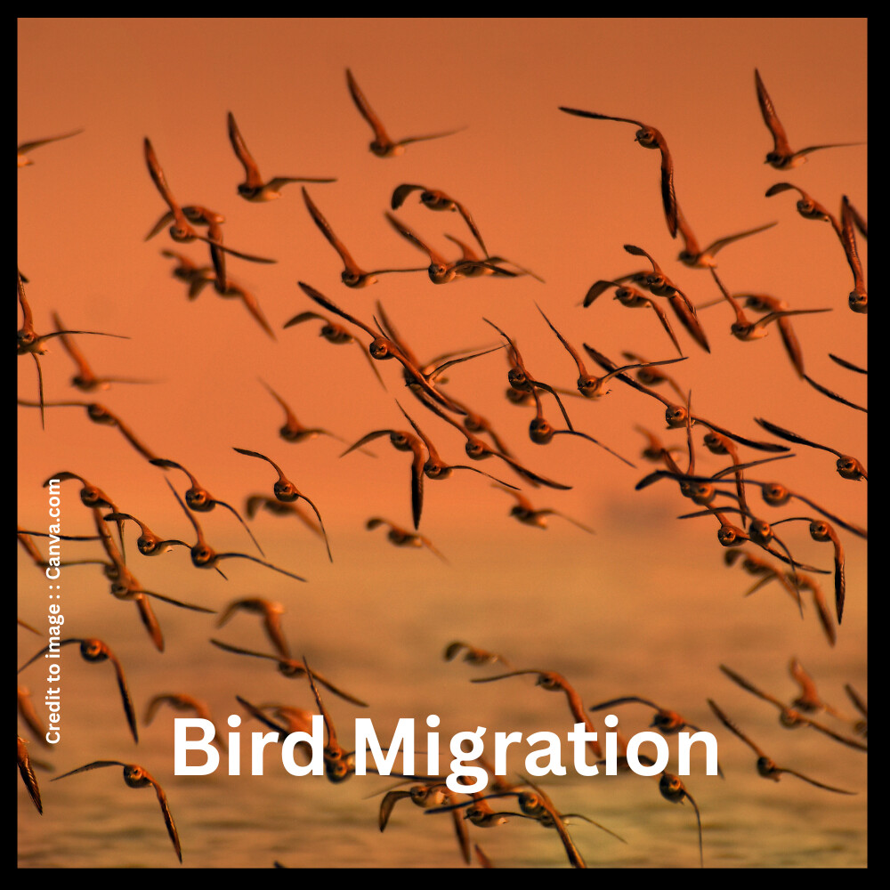 Bird Migration- Prakriti Darshan Nature and Environment Magazine