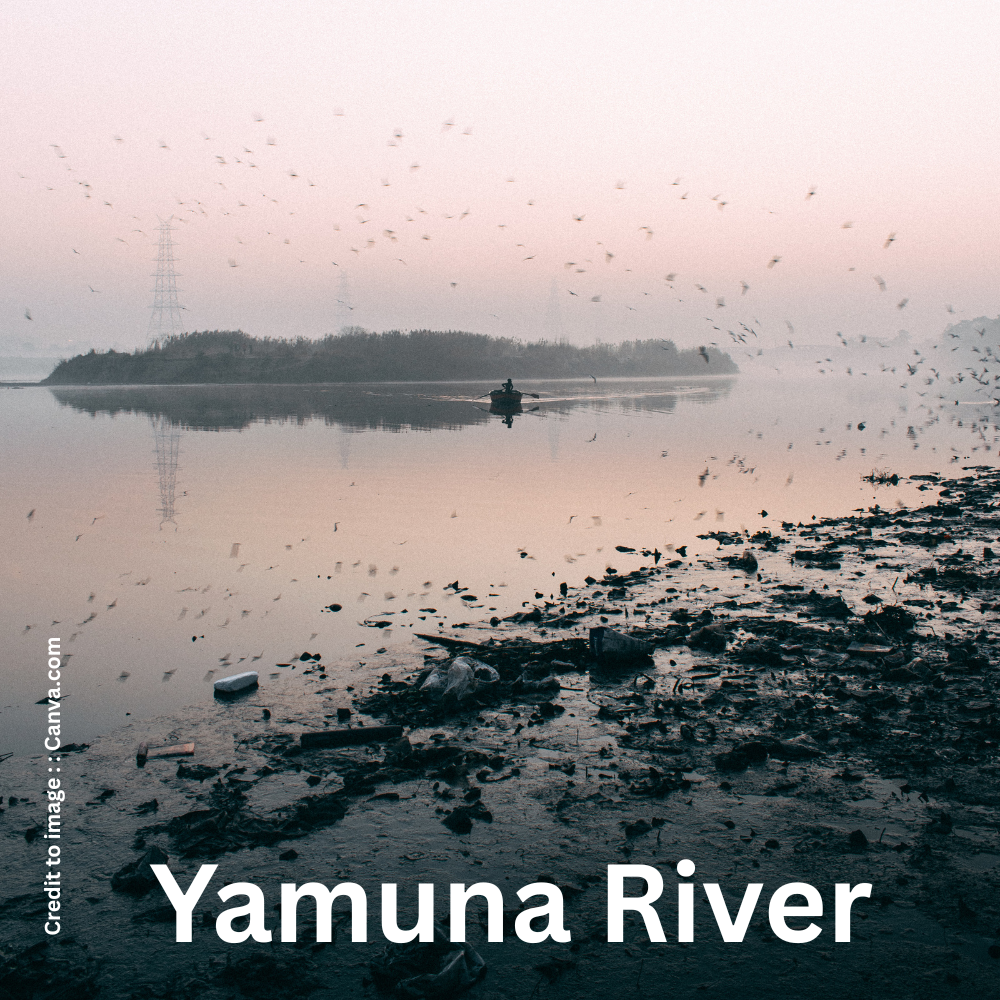 Yamuna River pollution crisis - Prakriti Darshan Nature and Environment Magazine