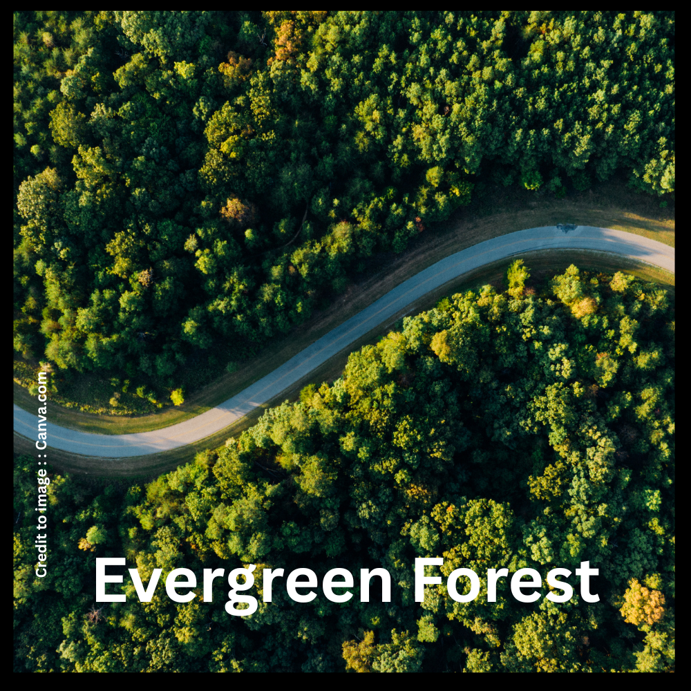 Evergreen Forest- Prakriti Darshan Nature and Environment Magazine 