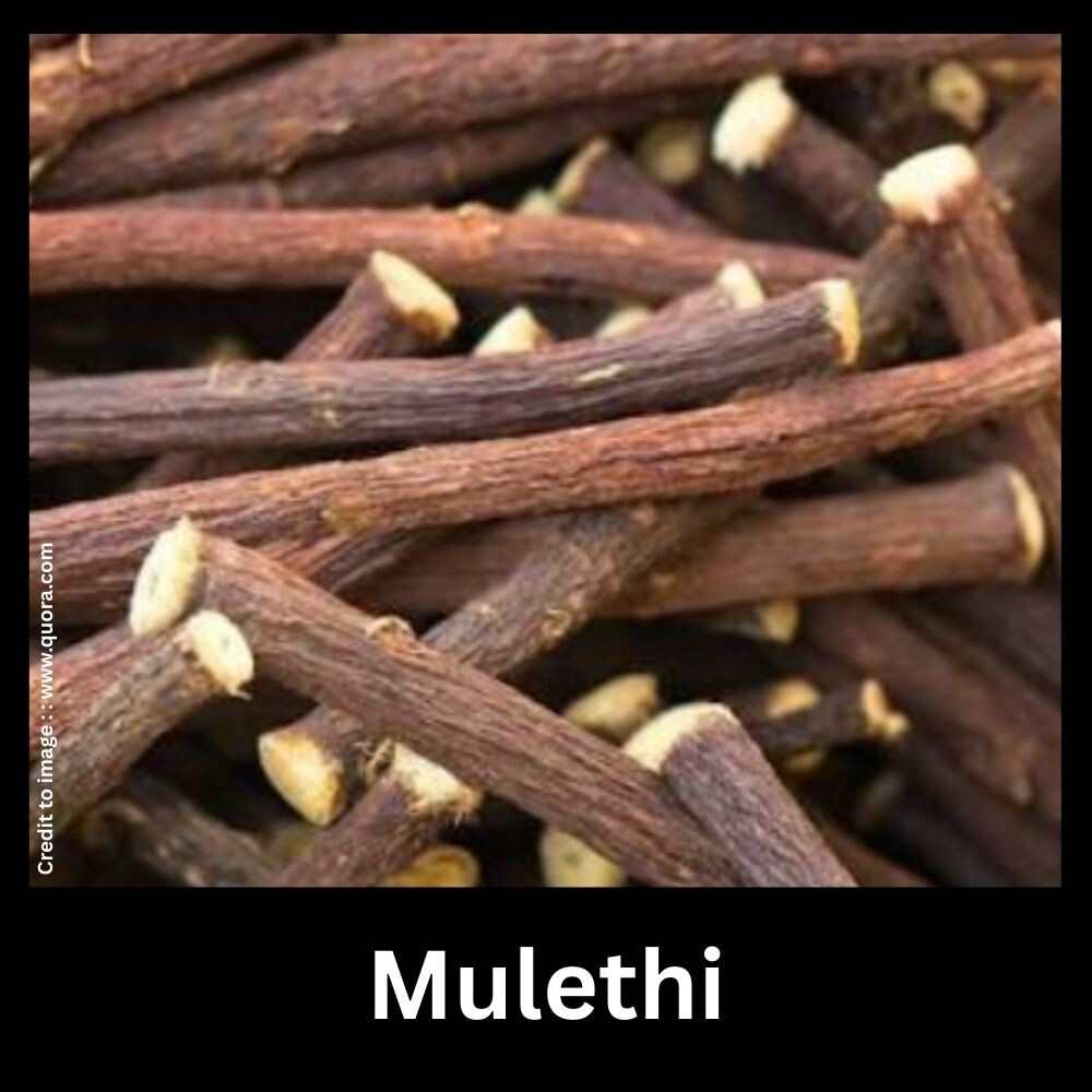 Mulethi - Prakriti Darshan Nature and Environment Magazine 