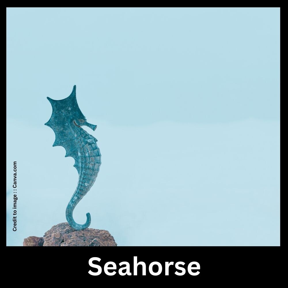 Seahorse - Prakriti Darshan Nature and Environment Magazine 
