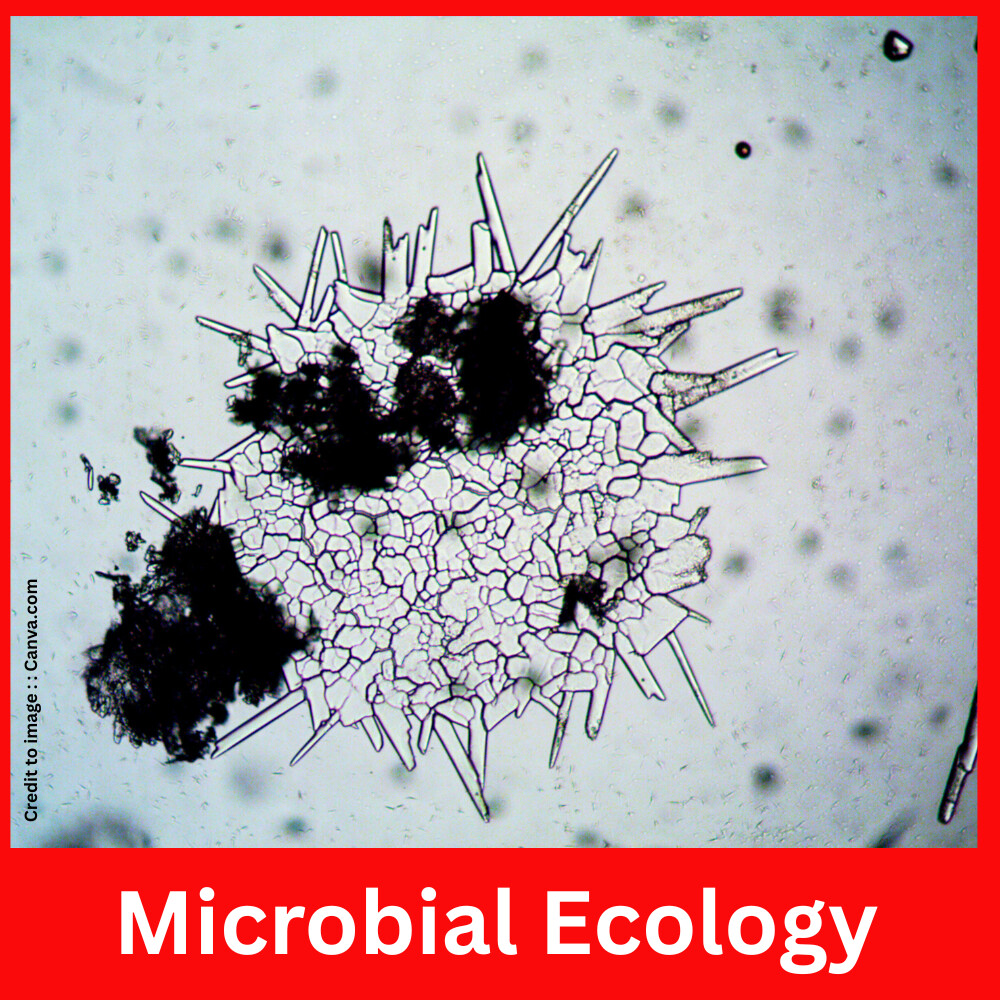 Microbial Ecology - Prakriti Darshan Nature and Environment Magazine