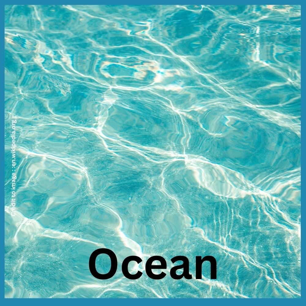 Ocean - Prakriti Darshan Nature and Environment Magazine 