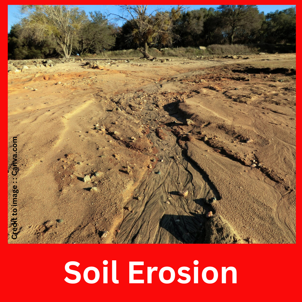 Soil Erosion- Prakriti Darshan Nature and Environment Magazine