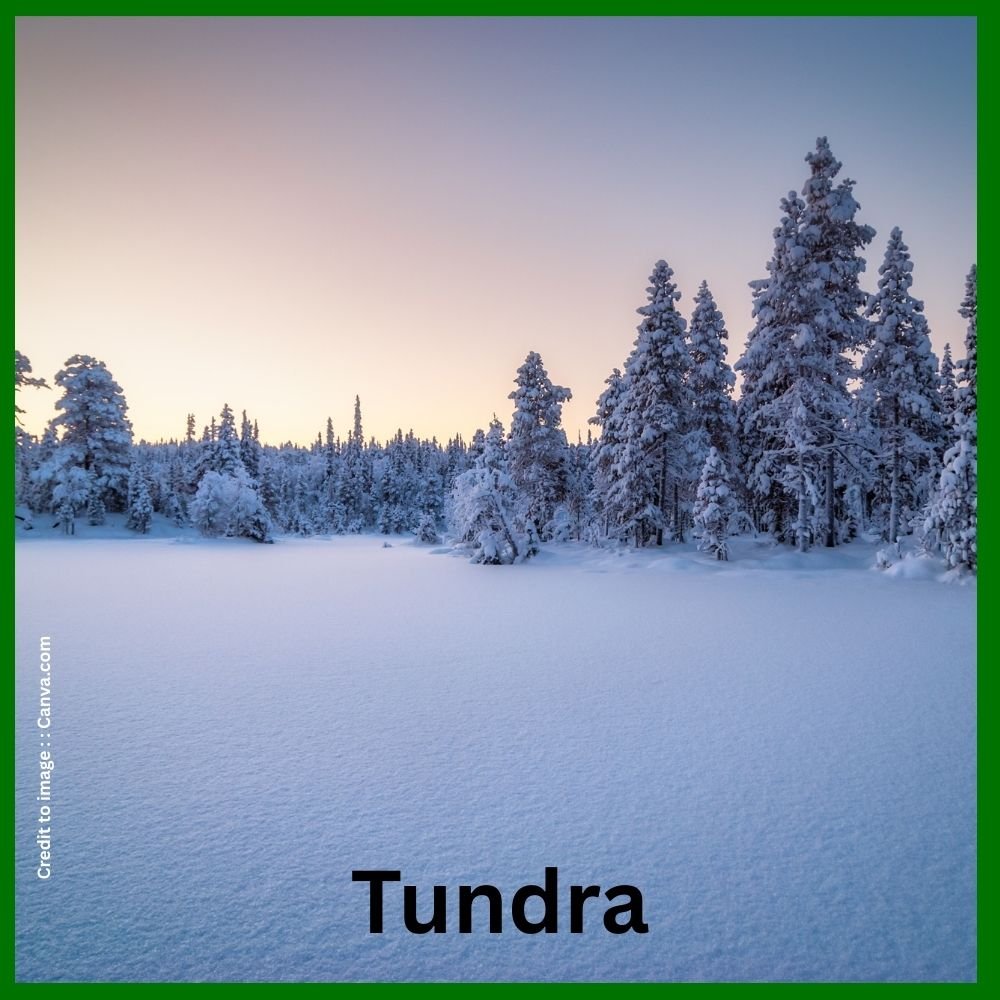 Tundra geographical conditions - Prakriti Darshan Nature and Environment Magazine 