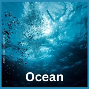 Ocean - Prakriti Darshan Nature and Environment Magazine