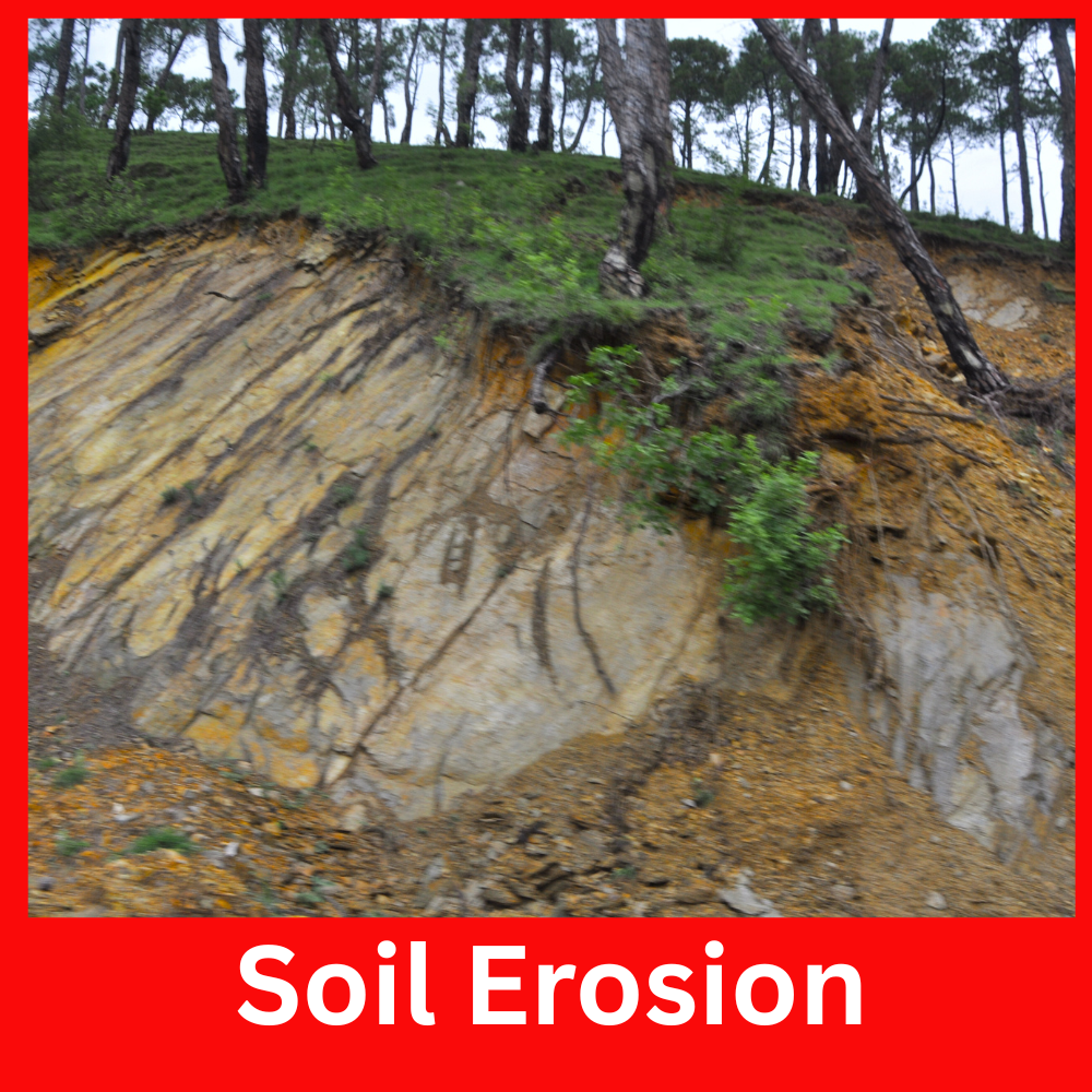 Soil Erosion- Prakriti Darshan Nature and Environment Magazine