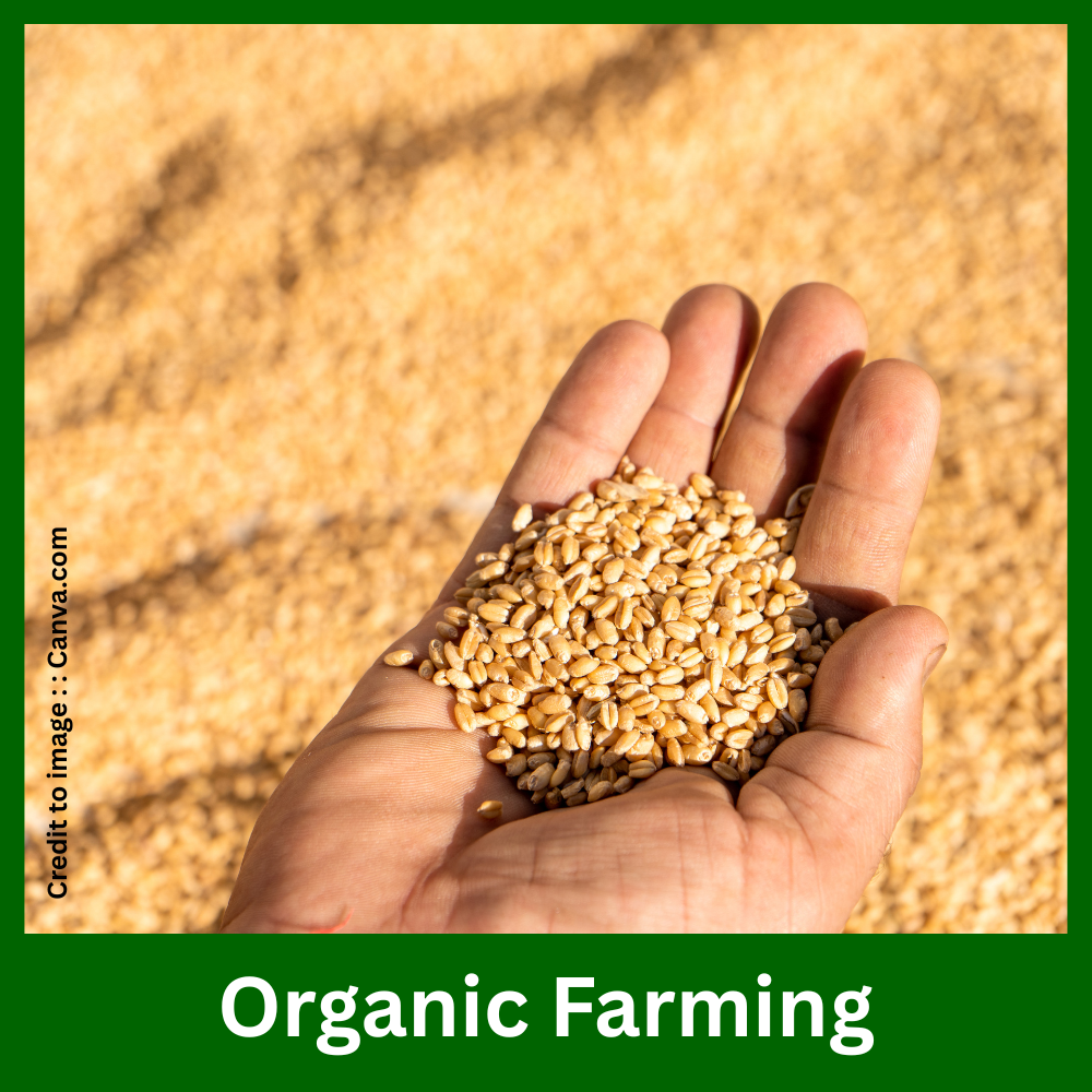 Organic Farming - Prakriti Darshan Nature and Environment Magazine 