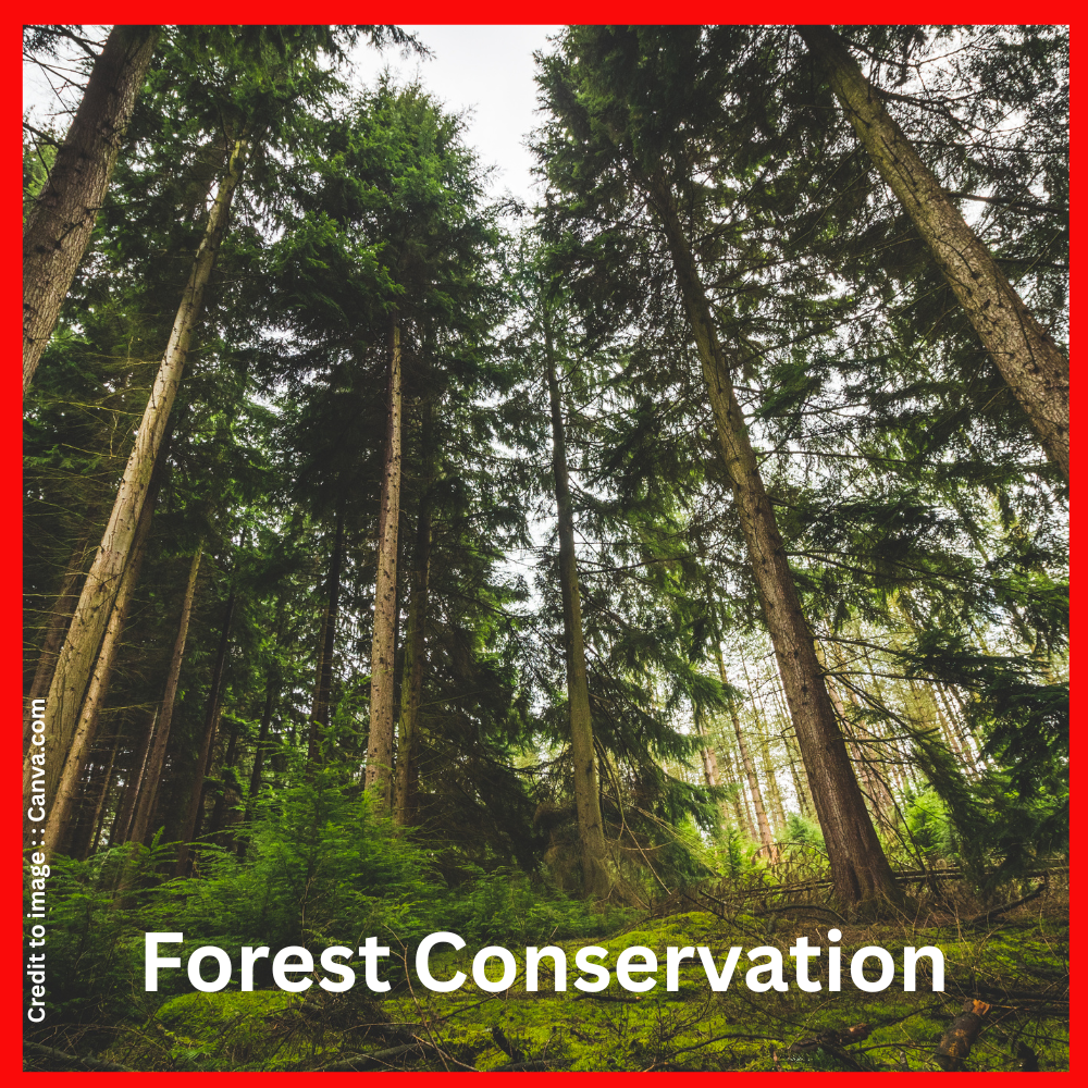 Forest Conservation- Prakriti Darshan Nature and Environment Magazine 
