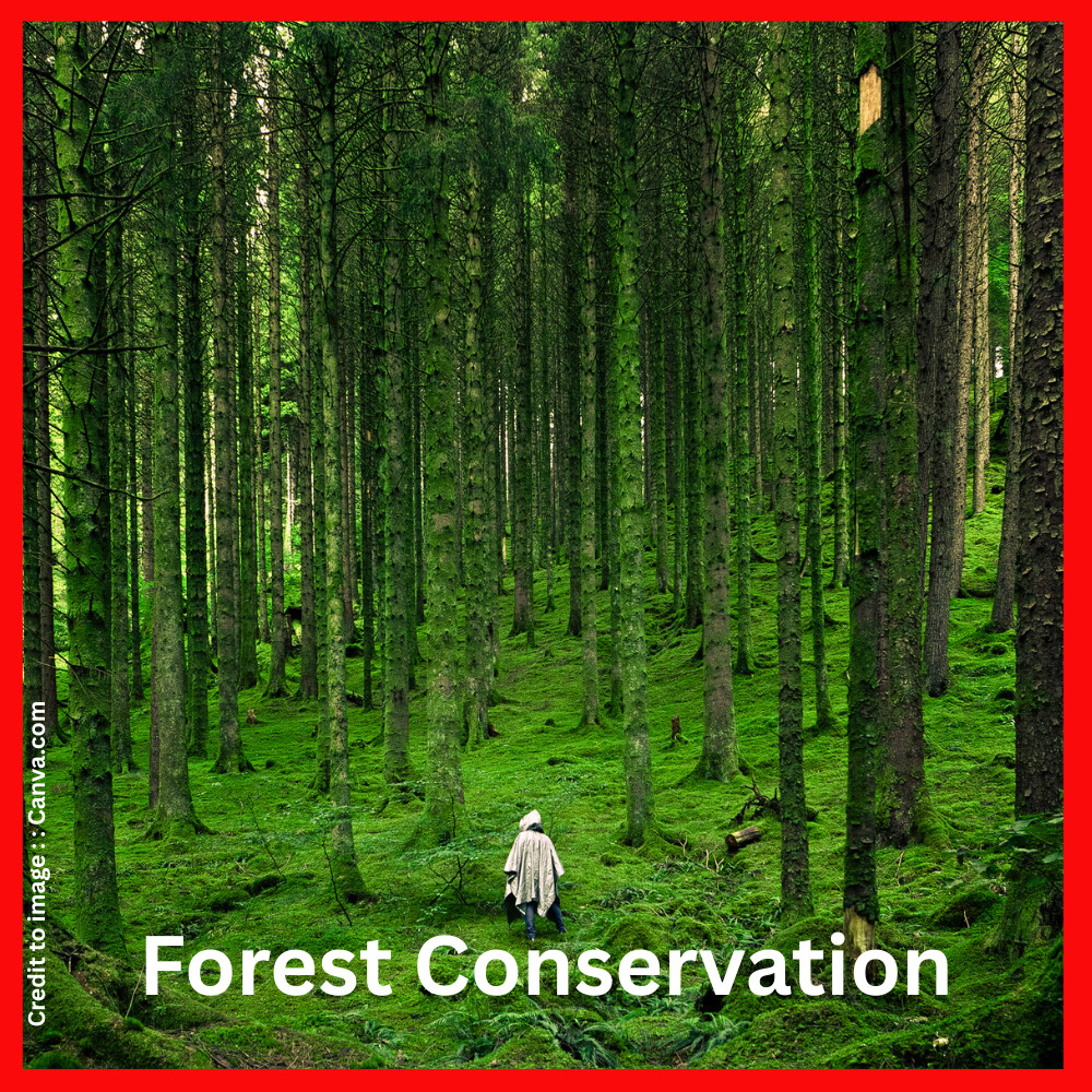 Forest Conservation- Prakriti Darshan Nature and Environment Magazine