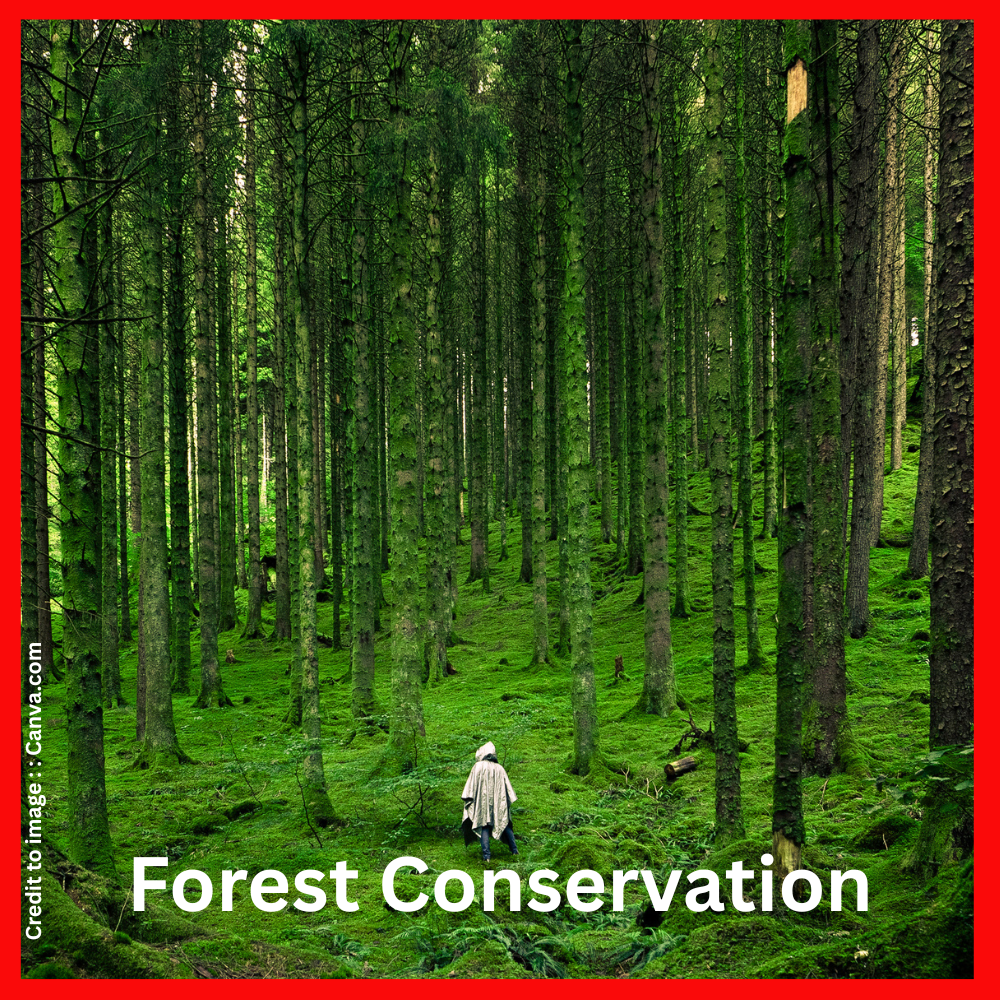 Forest Conservation- Prakriti Darshan Nature and Environment Magazine