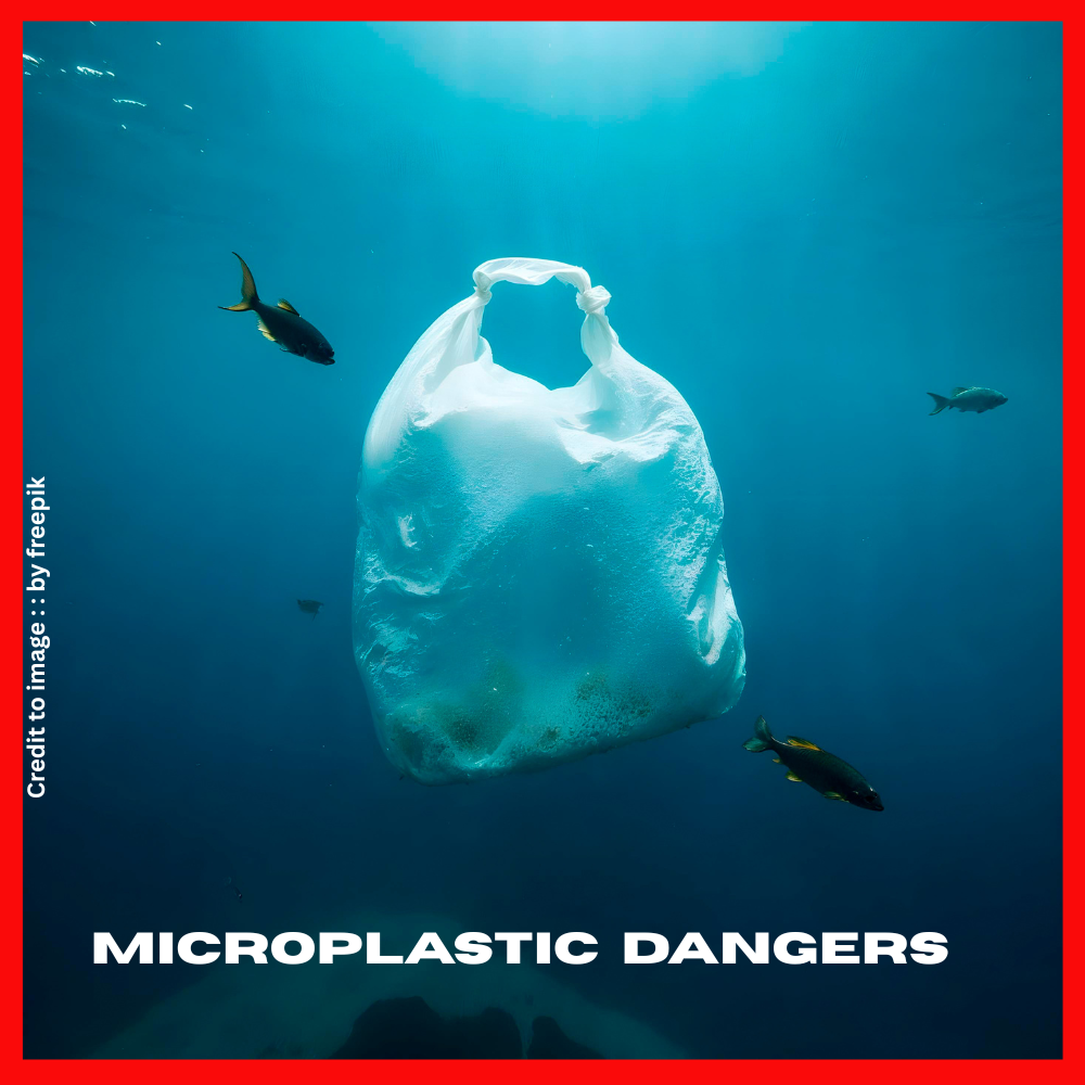 Microplastic Dangers- Prakriti Darshan Nature and Environment Magazine 