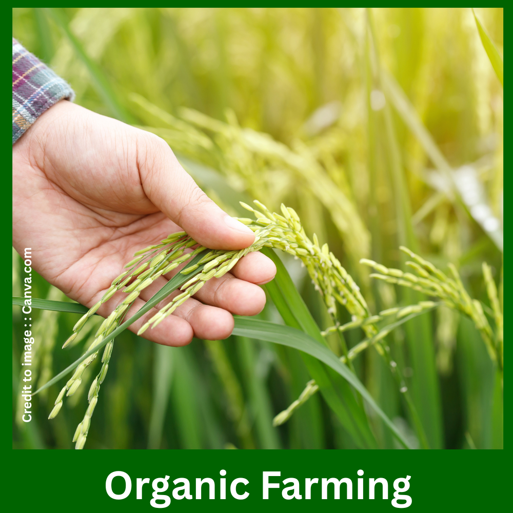Organic Farming - Prakriti Darshan Nature and Environment Magazine 