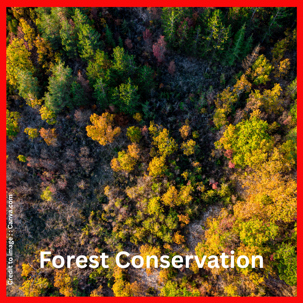 Forest Conservation- Prakriti Darshan Nature and Environment Magazine 