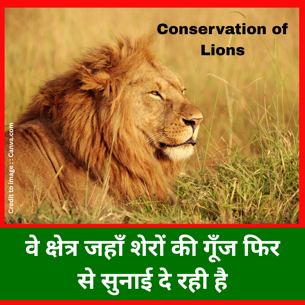 Conservation of Lions - Prakriti Darshan Nature and Environment Magazine