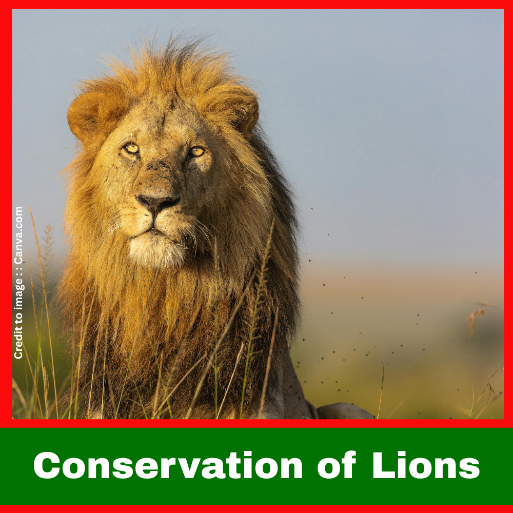 Conservation of Lions - Prakriti Darshan Nature and Environment Magazine 