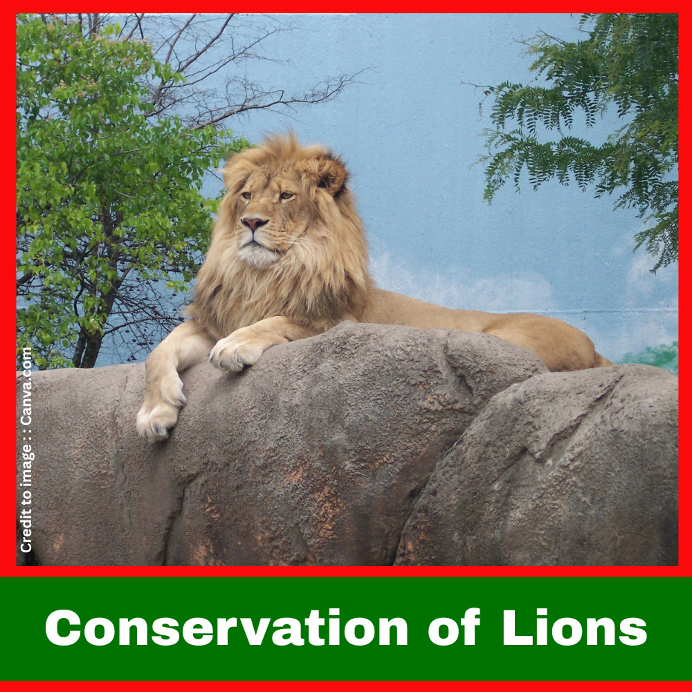 Conservation of Lions - Prakriti Darshan Nature and Environment Magazine 