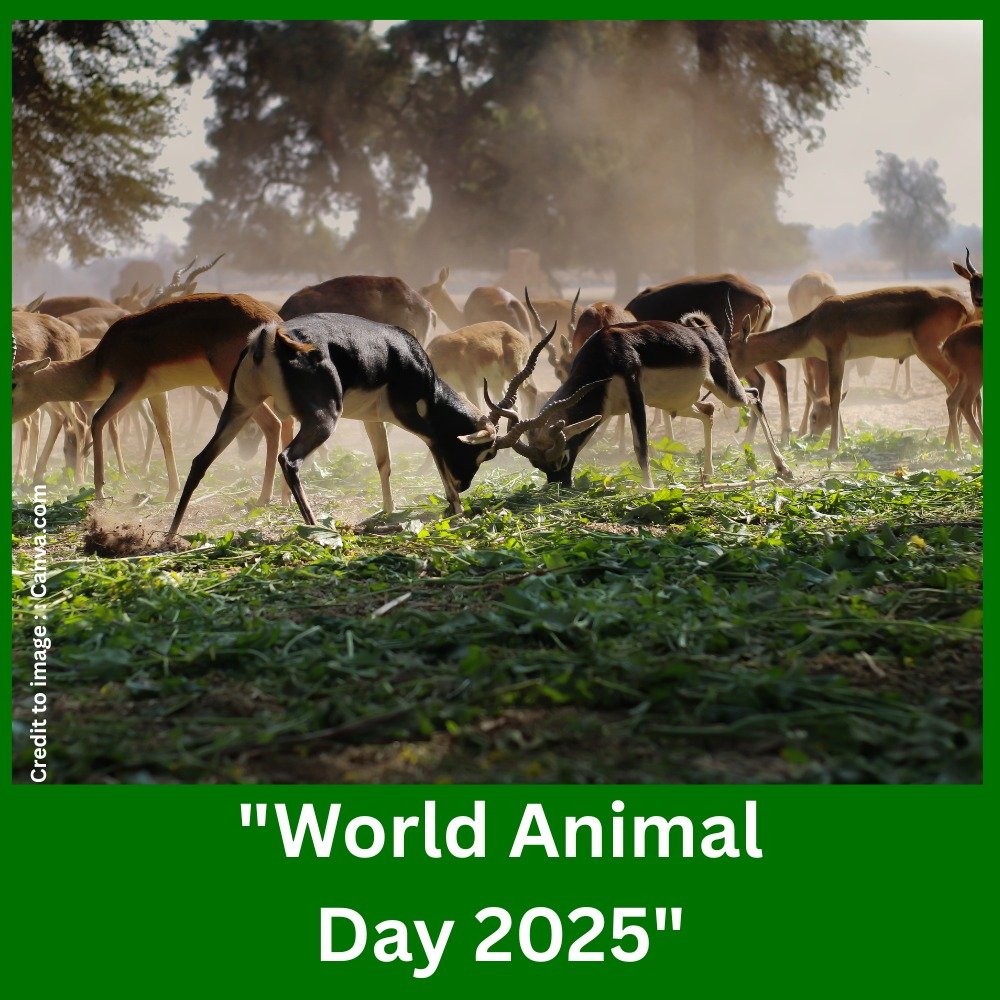 World Animal Day 2025