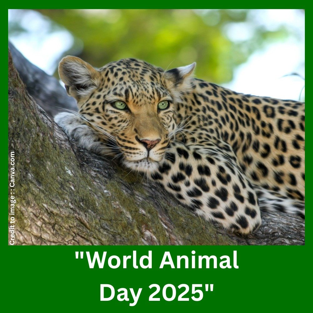 World Animal Day 2025