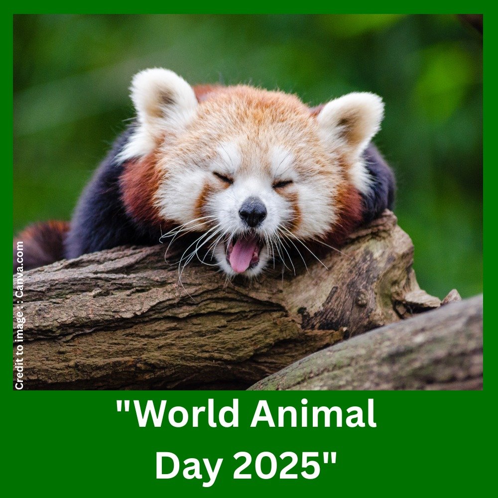 World Animal Day 2025