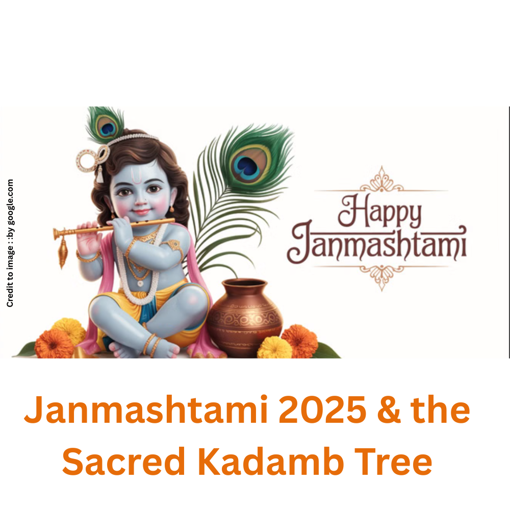 Janmashtami 2025 & the Sacred Kadamb Tree