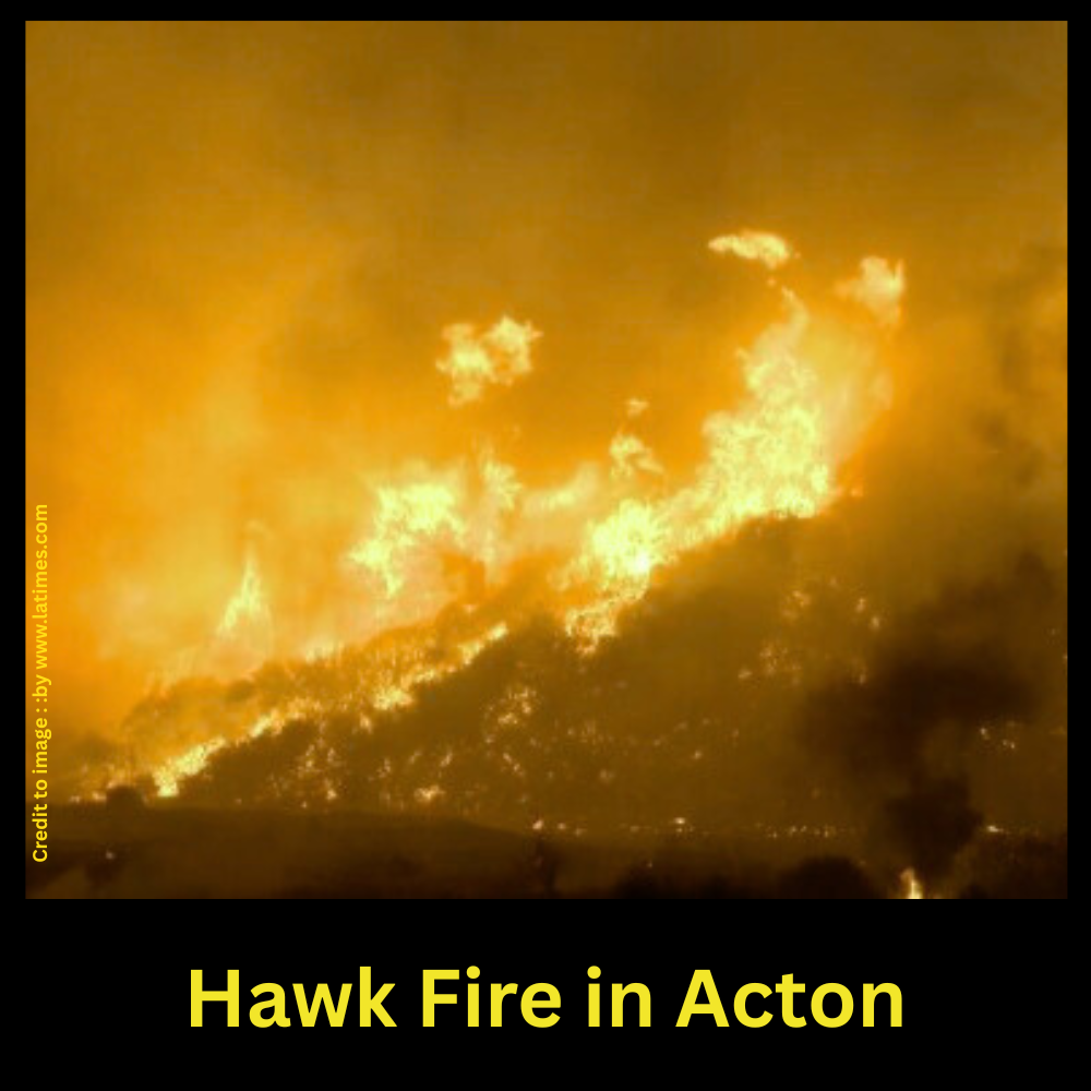Hawk Fire in Actonp Prakriti Darshan Nature Magazine
