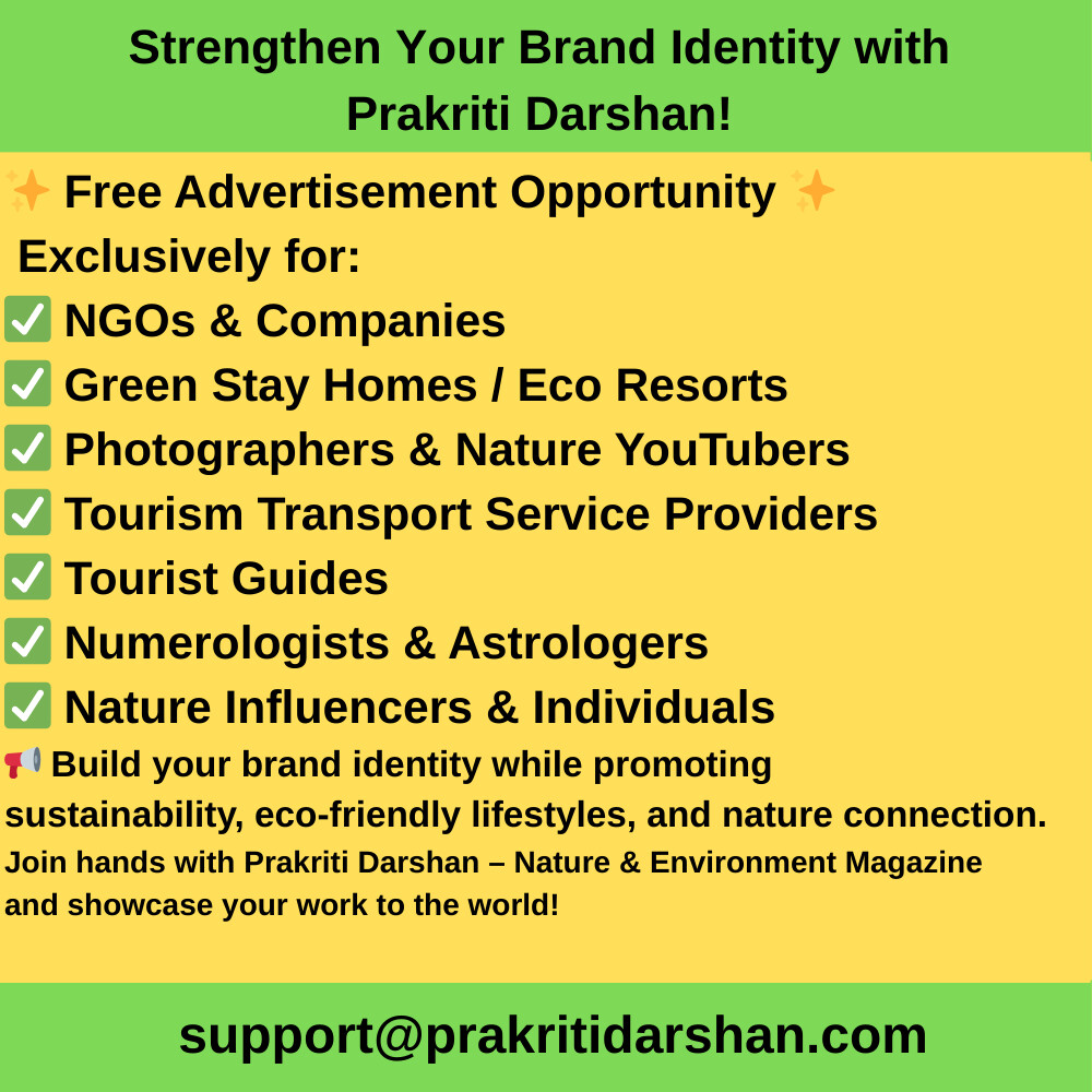 Brand Identity