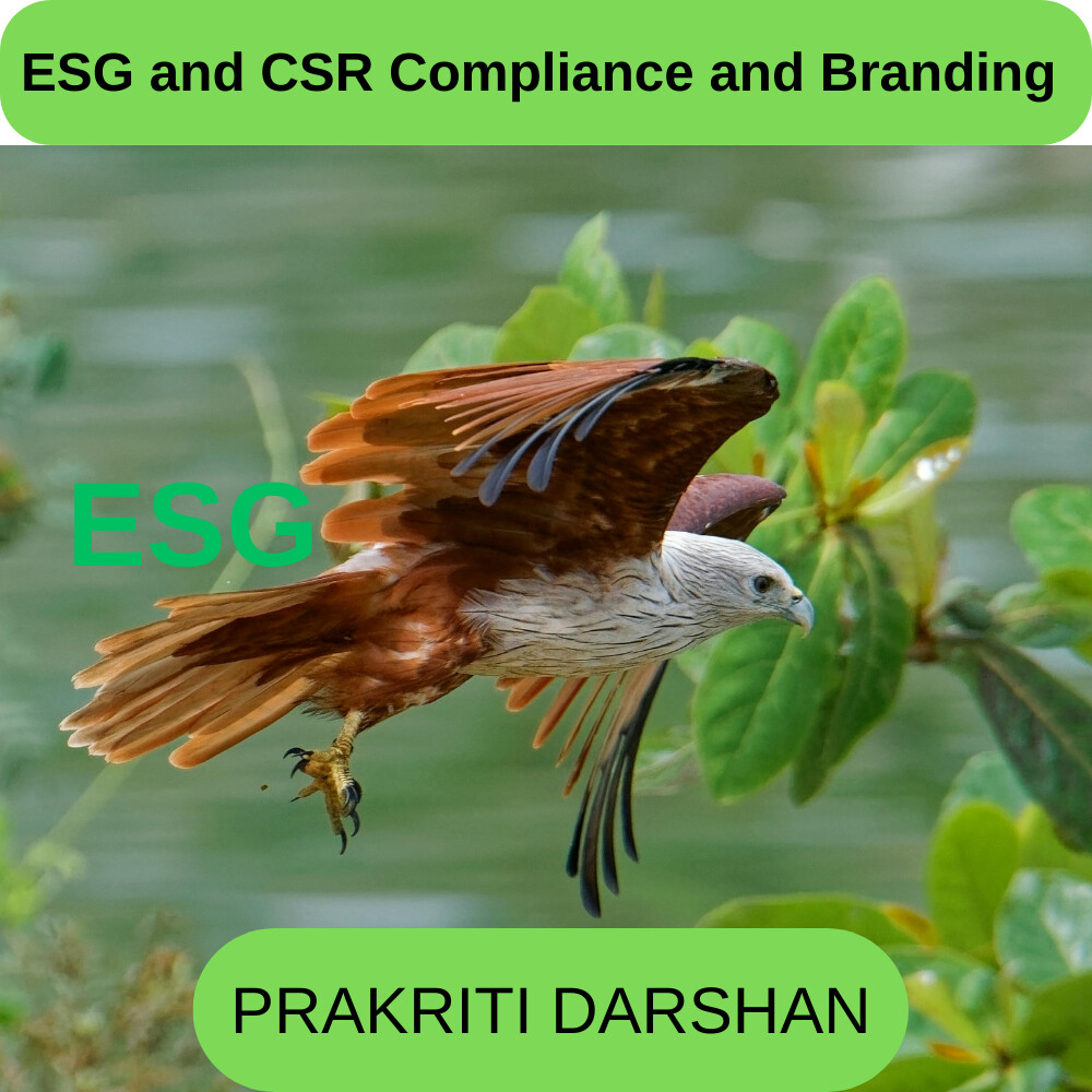 ESG and CSR Compliance and Branding