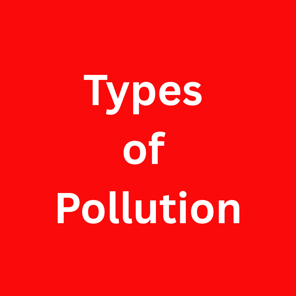 Types of Pollution: Understanding the Impact on Environment and Human Health