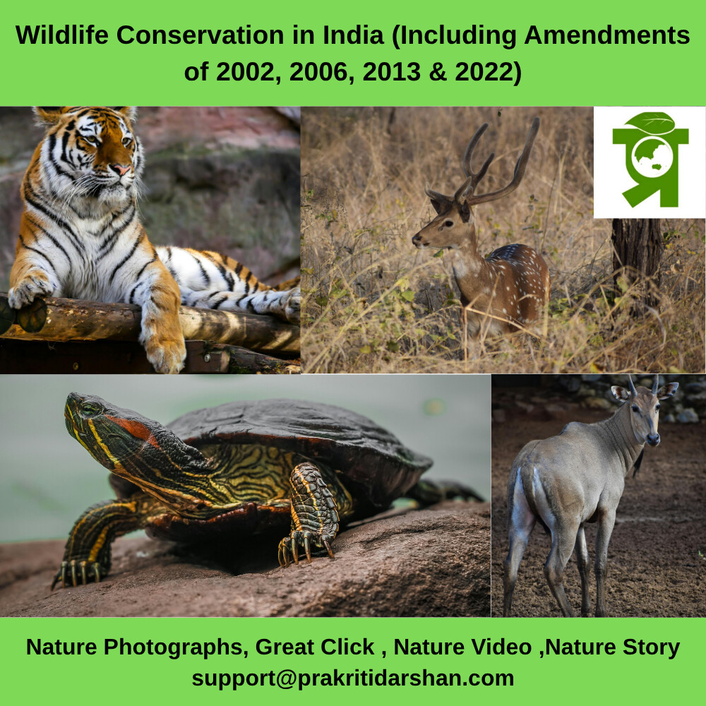 Wild Animal Protection Act