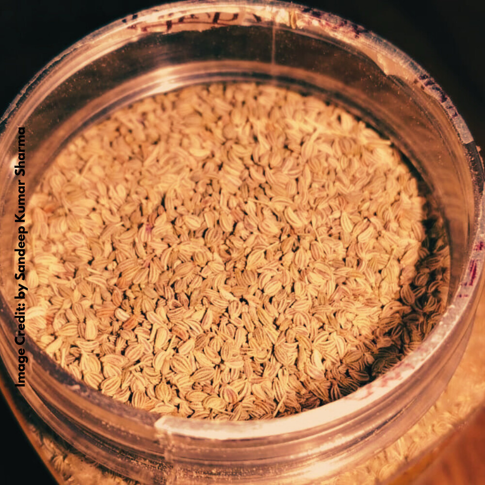 Ajwain