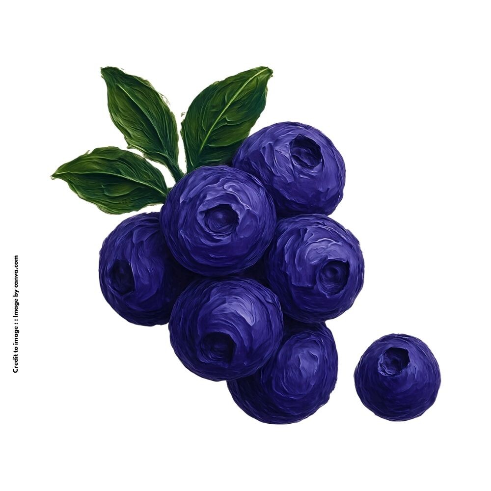 blueberry superfood