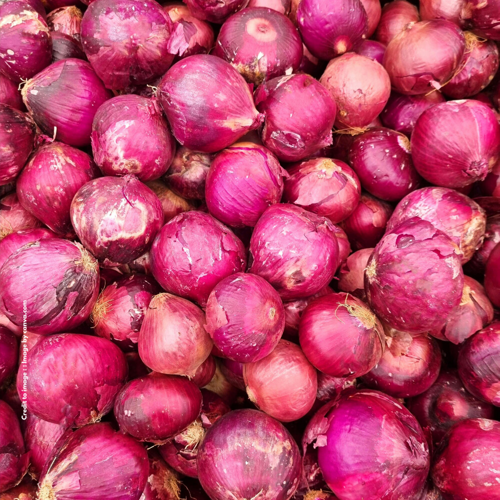 Onion