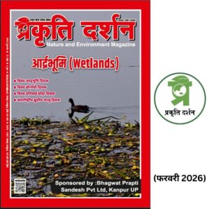 Wetland