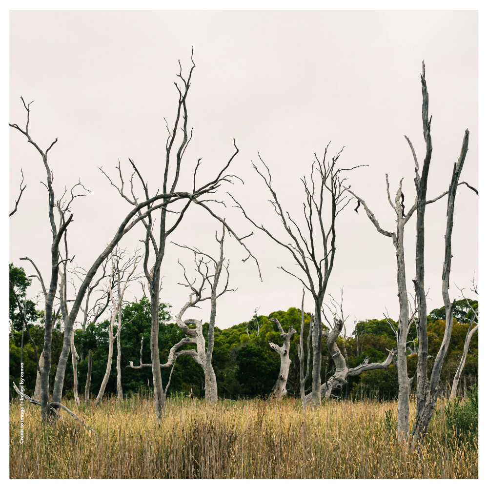 Biodiversity Loss