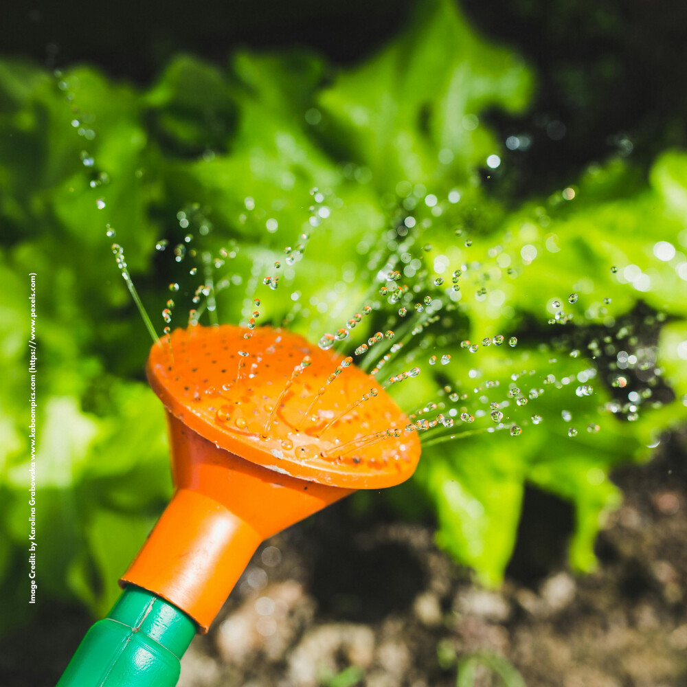 Water-smart Farming