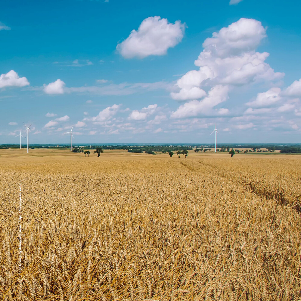 Rain-fed Farming