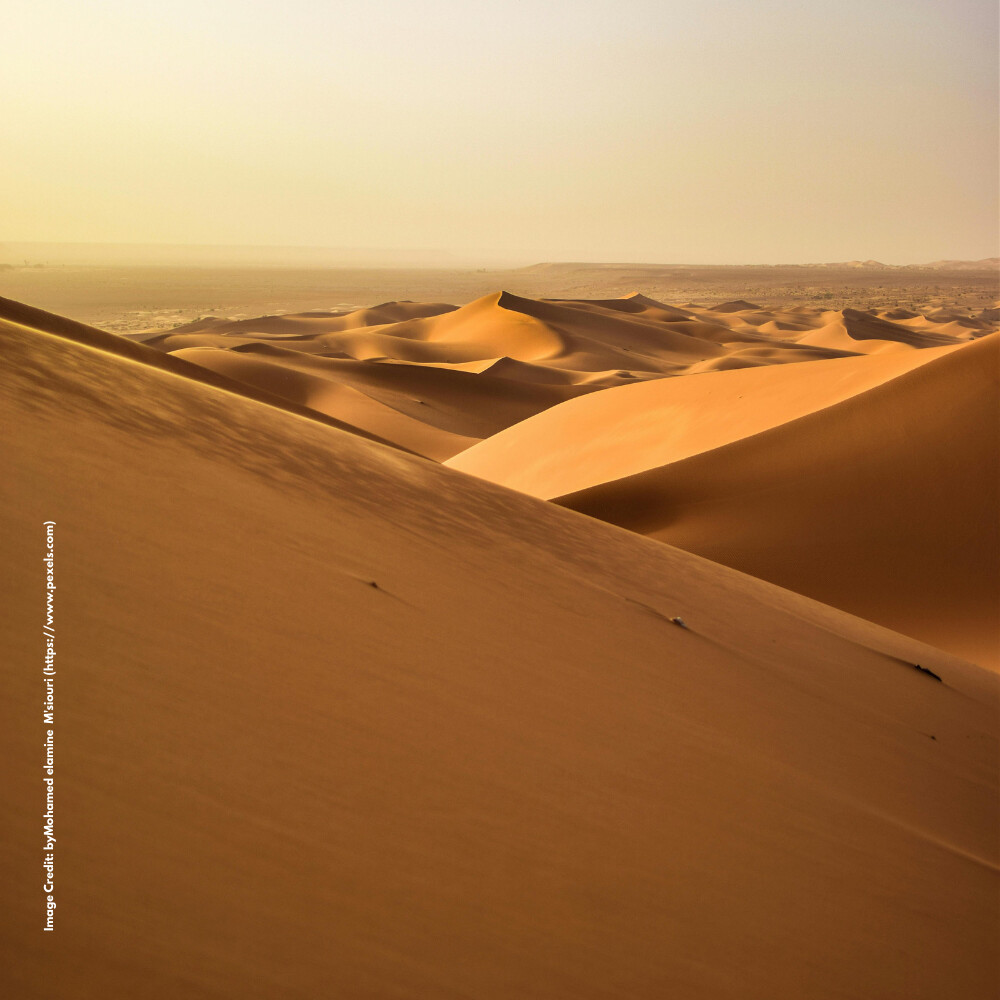 Desert