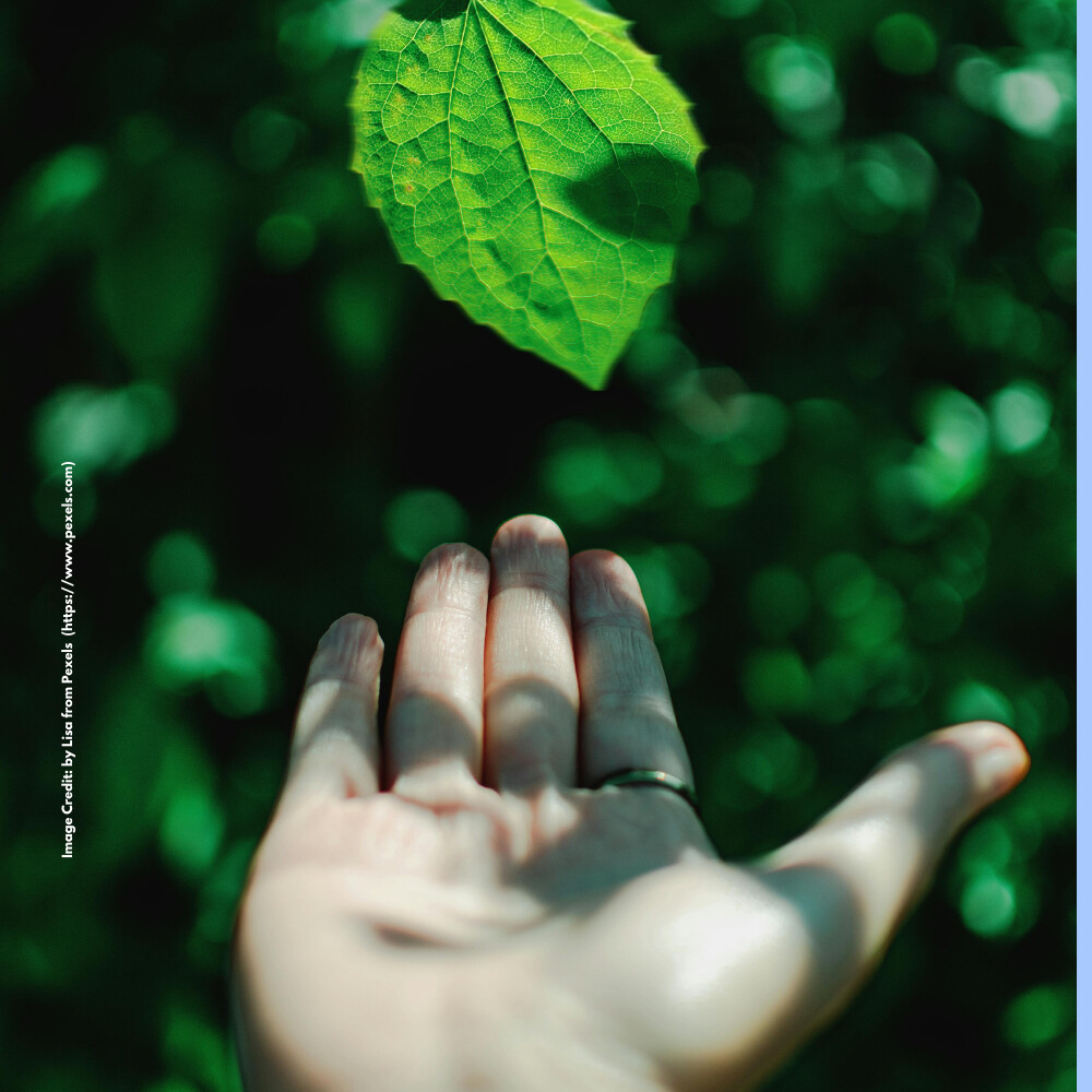 Health and Environment