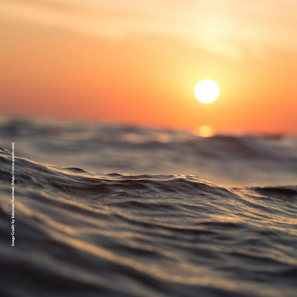 World Water Day