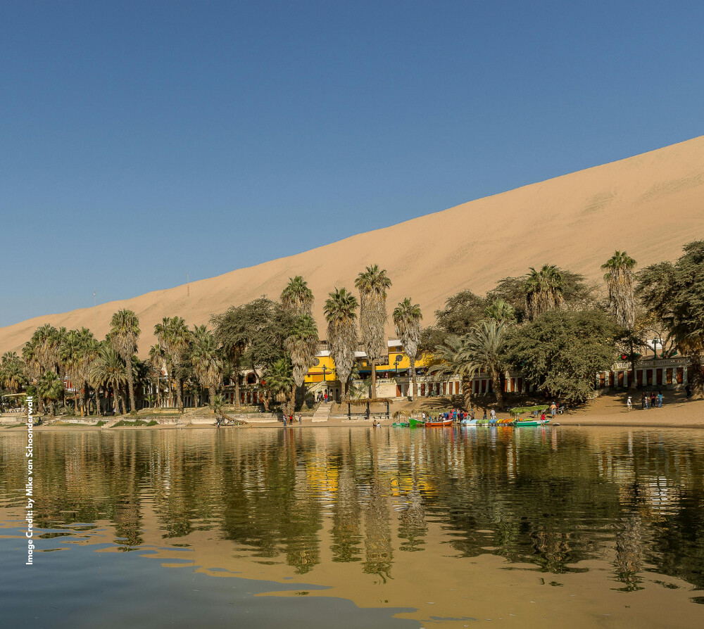 Oasis