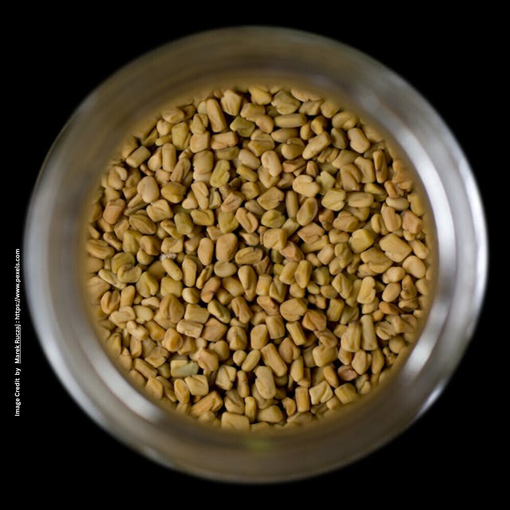 Fenugreek Seeds