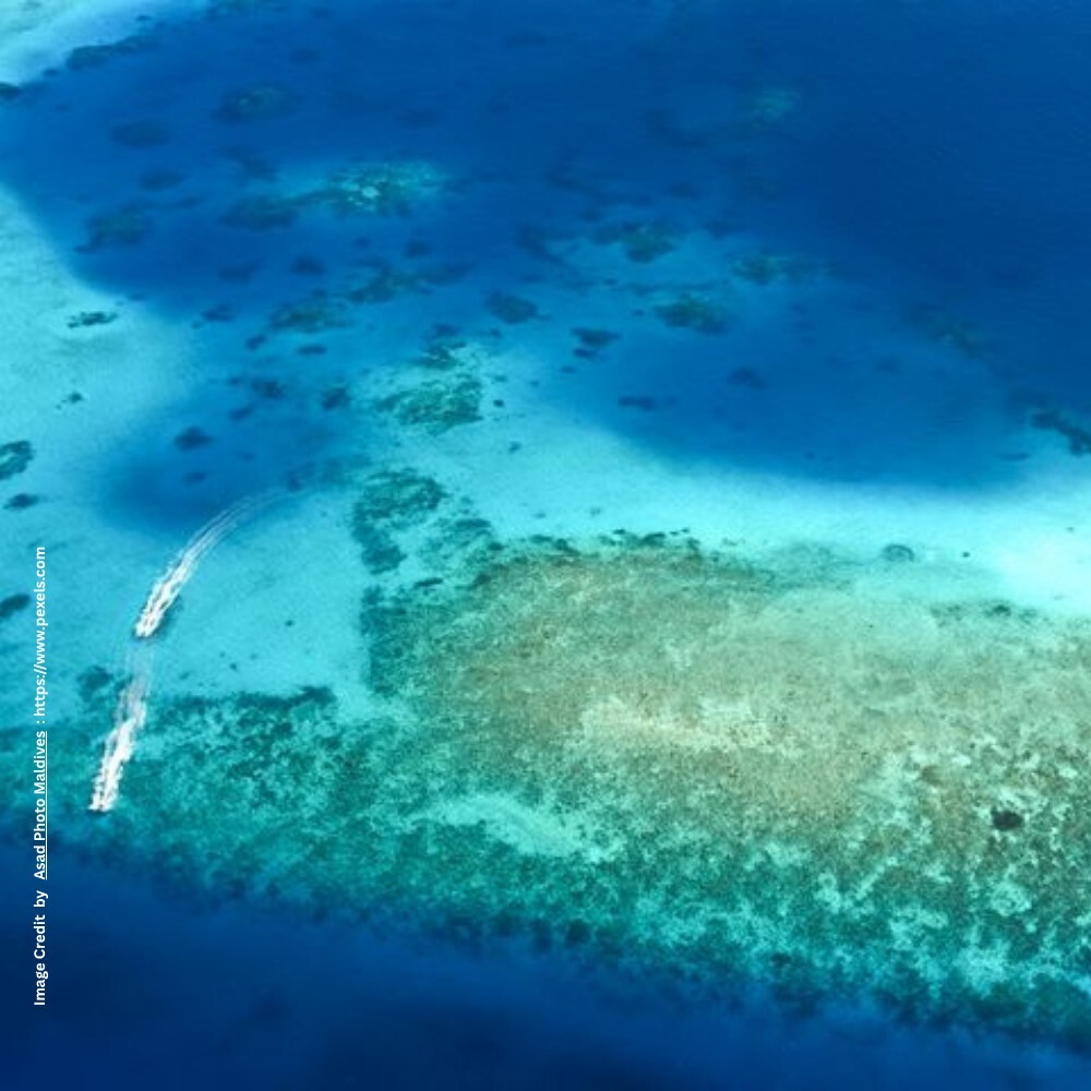 Ocean Warming