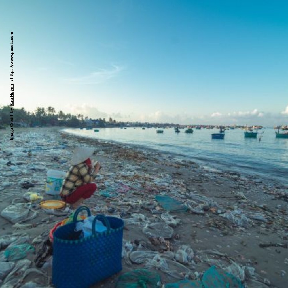 Plastic Pollution