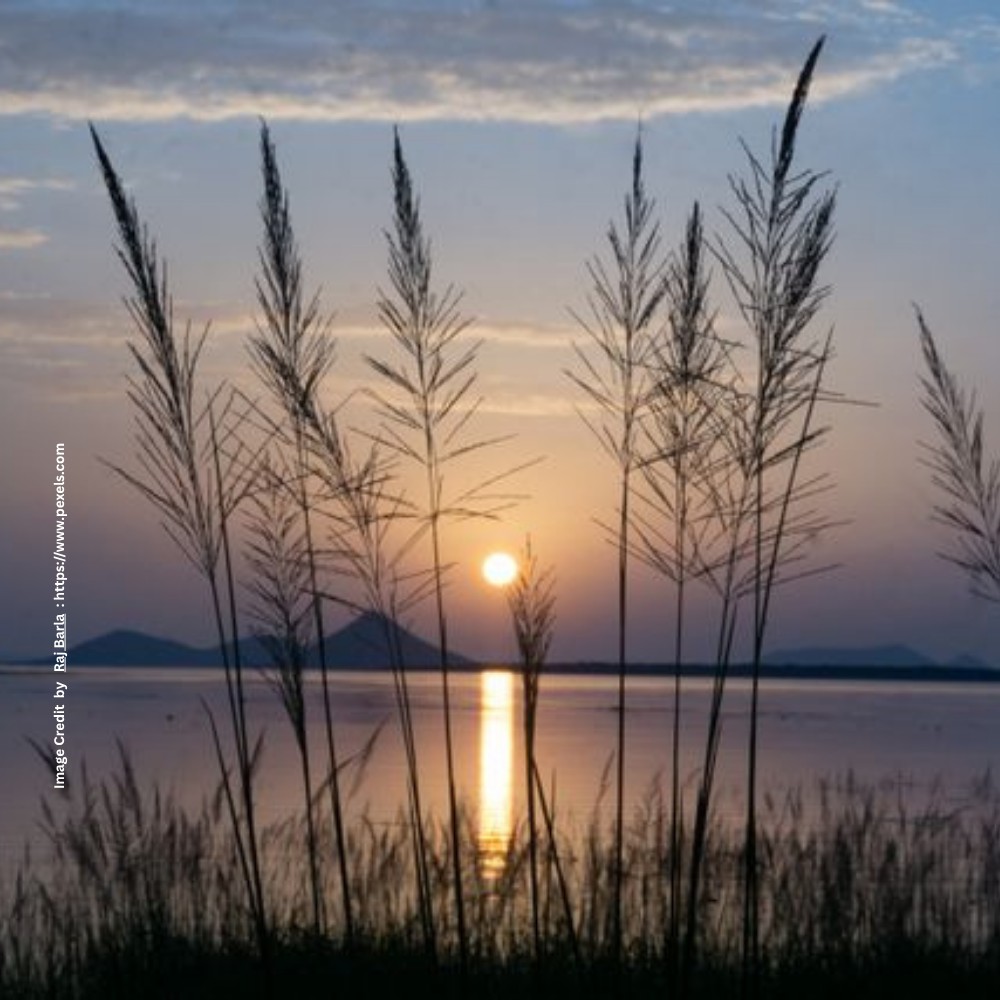 Chilika Lake