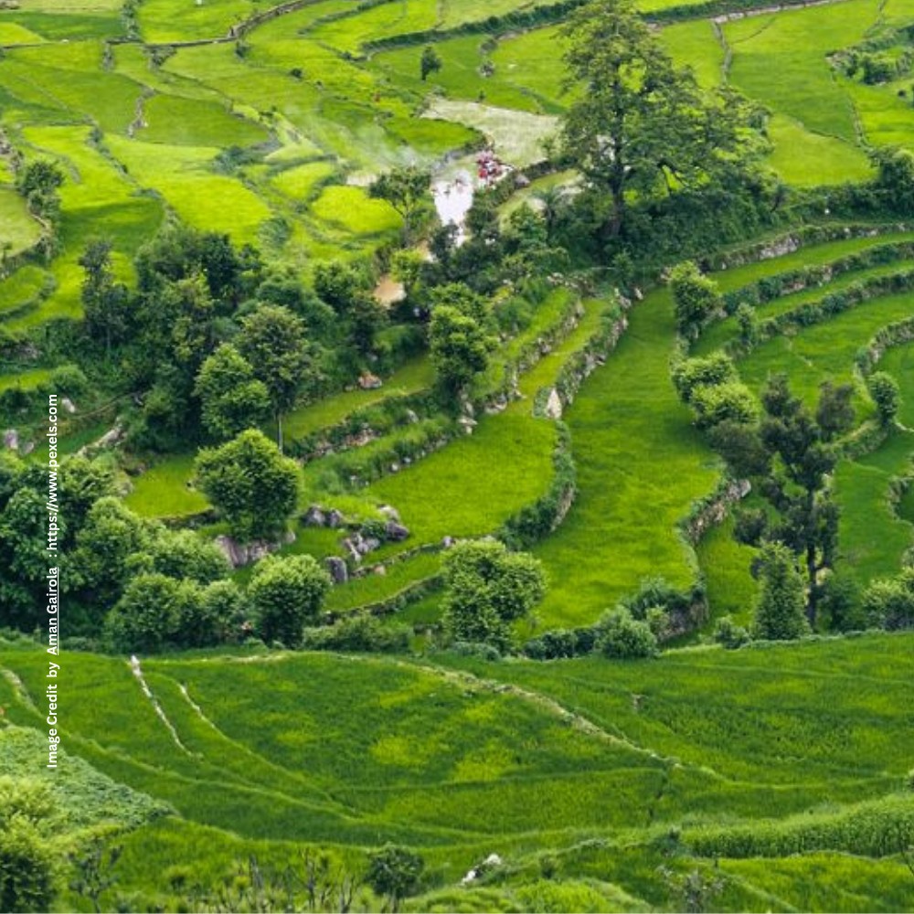 Ganga and Agriculture