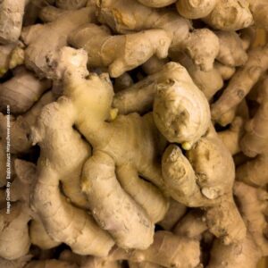 Ginger
