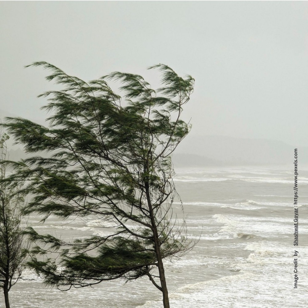 Tropical Cyclonel