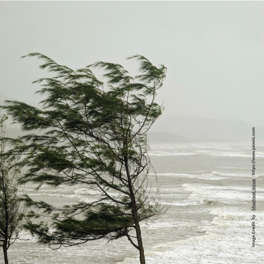 Tropical Cyclonel